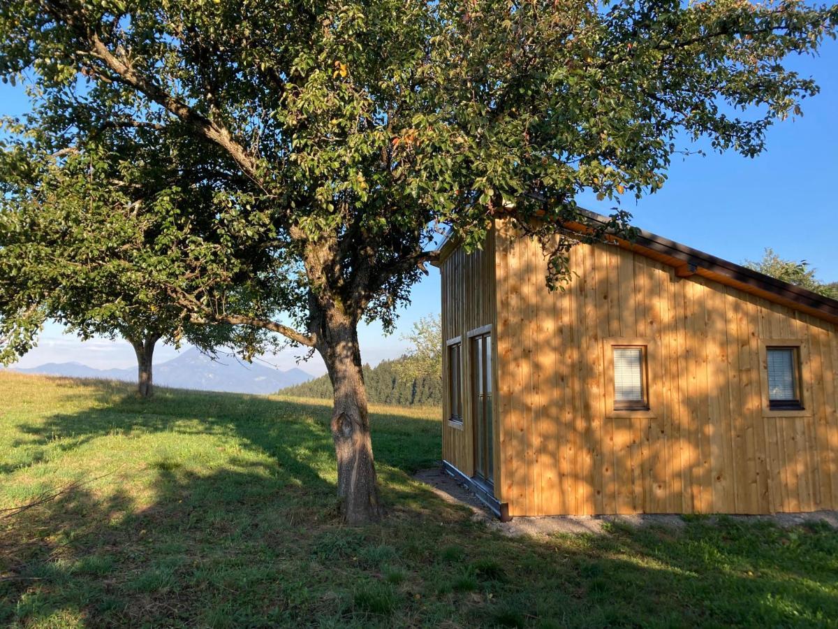 Tiny House Villa Mislinja Dış mekan fotoğraf