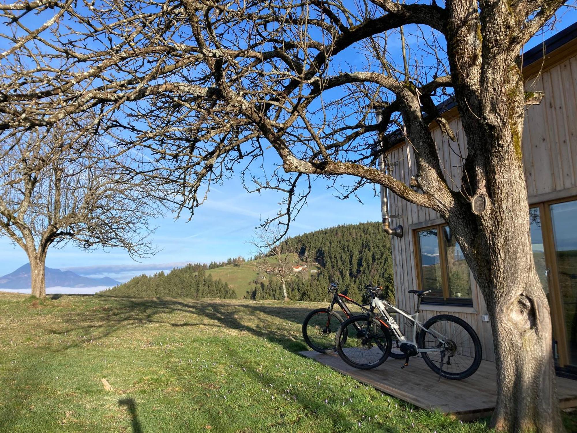 Tiny House Villa Mislinja Dış mekan fotoğraf